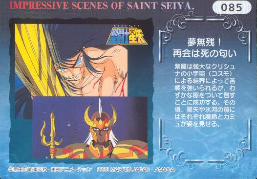 Otaku Gallery  / Anime e Manga / Saint Seiya / Cards / Trading Cards 2000 / 023_d.jpg